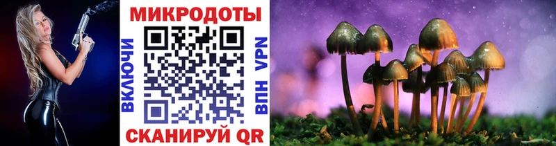 Псилоцибиновые грибы Psilocybe  Купить закладки  Тутаев 